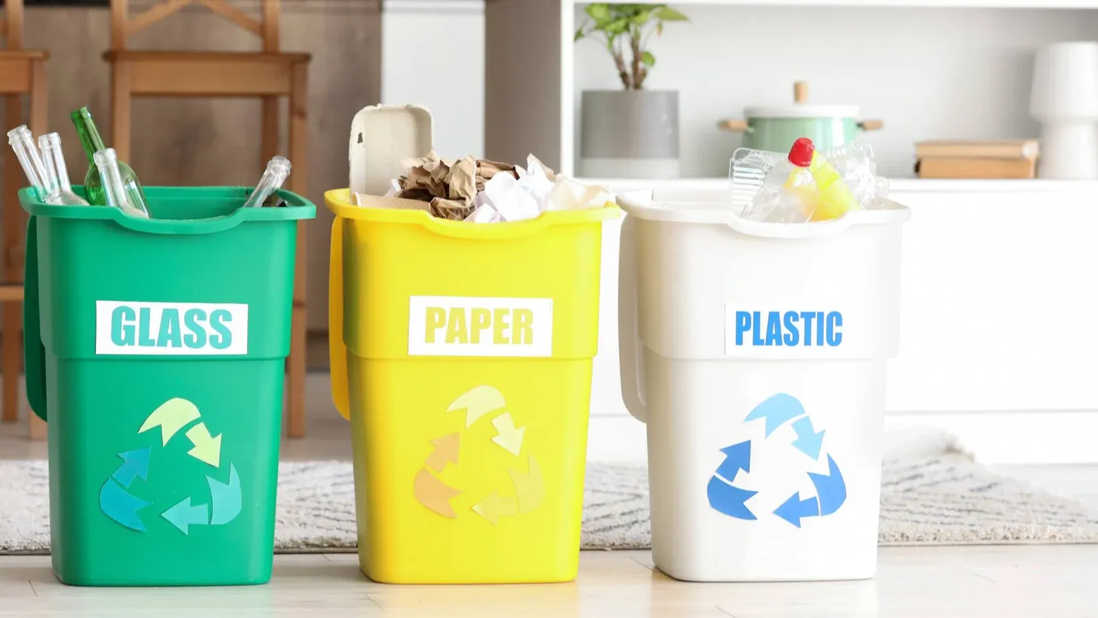 Phân loại rác tại nhà: Cá Sấu chia sẻ 3 bước đơn giản để bắt đầu!