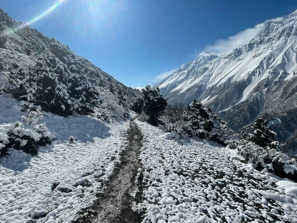 [Annapurna Circuit] Day 11: Shree Kharka to Yak Kharha🗻