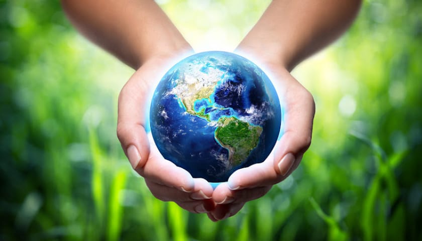 Ăn Chay Để Cứu Môi Trường: Cá Sấu Kể Chuyện 'Giảm Rác' Từ Bếp Chay