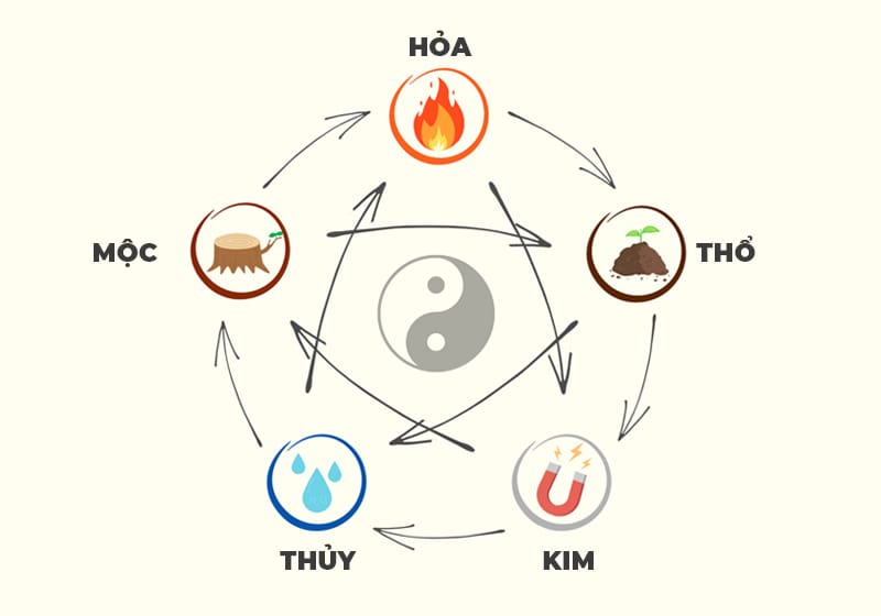 Ăn Chay Theo Phong Thủy: “Cá Sấu” Tính Xem Hợp Mệnh Hay Chỉ Hợp… Đậu Hũ?
