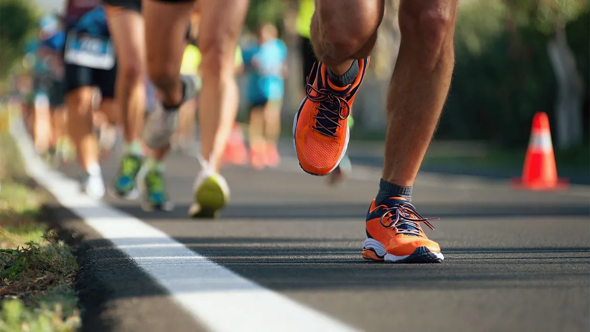 Chạy Bộ Đường Dài: Chuẩn Bị Cho Marathon Như Một Chú Cá Sấu Chạy Bộ!