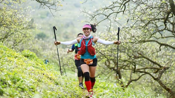 Thi Đấu Trail: Chuẩn Bị Cho Các Giải Chạy Lớn Như Vietnam Mountain Marathon