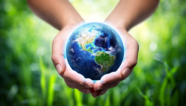 Ăn Chay Để Cứu Môi Trường: Cá Sấu Kể Chuyện 'Giảm Rác' Từ Bếp Chay