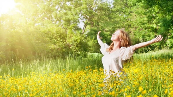 Sống chậm giữa cuộc sống quá nhanh – Thực tập quay về với hiện tại theo Pháp môn Làng Mai